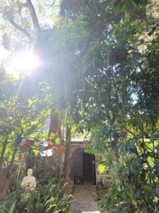 Monk Room Casa Jardín Downtown San Marcos