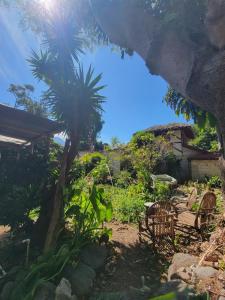 Monk Room Casa Jardín Downtown San Marcos