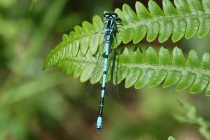 Cocon Nature et bain nordique à 37 degrés