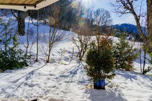 Appartement Le Pacha - Proche Centre Ville