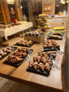 Grifone Dolomiti Resort