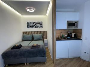 BEST VIEW Winterberg - Kleines Studio Apartment