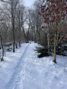 Lysbjerggård Bed & Break