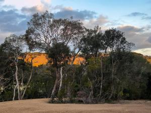 Ukiyo Nature Retreat