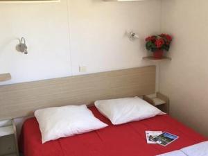 Mobil-home avec terrasse à Puyravault - API-1-52-1328