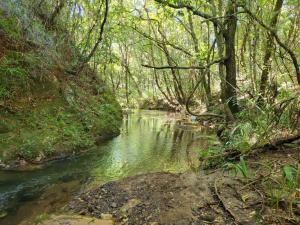 Na Trilha da Ostra 2