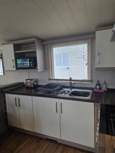 Sunflower 62 Braunton