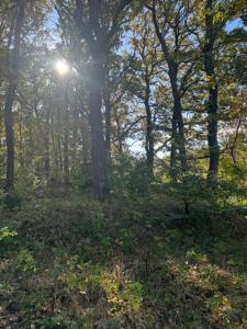 Lysbjerggård Bed & Break