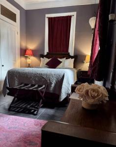 The Dragonfly Treme- Winter Escape Specials!