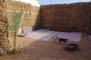 The Palm Circle - Dahab - Appartment 1