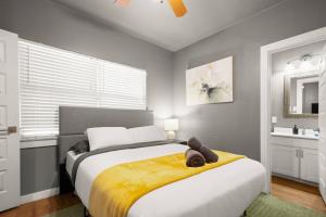 Spacious 1BR in Walkable Austin • WiFi + Park