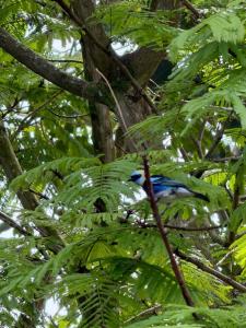 Complete house for 6 people