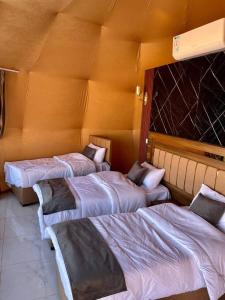 TAJ luxury Camp