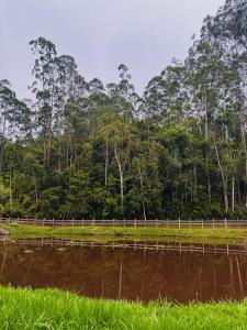 Fazenda Vila Quintão - Casa-sede Recanto das Araucárias
