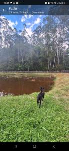 Fazenda Vila Quintão - Casa-sede Recanto das Araucárias