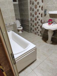 شقة فندقية مفروشة للايجار بوابة الجلاء المنصورة