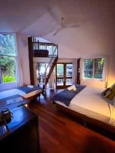 Ferntree Rainforest Lodge
