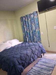 Alexander b&b