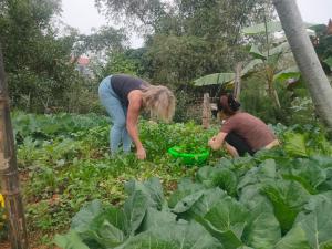 Homestay thanh biên Long Cốc