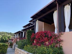 Pet-Friendly Apartment in Sardinia img16