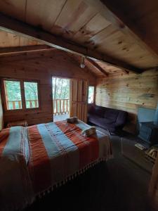 Cabaña en el Bosque de San José del Pacifico 2