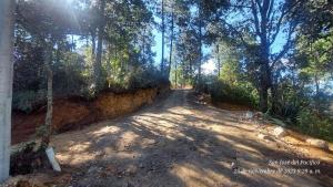 Cabaña en el Bosque de San José del Pacifico 2