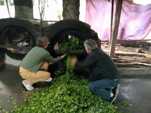 Đức Tới Farmstay