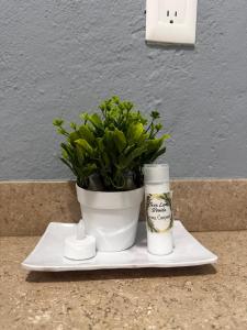 Casa Loma Bonita Cuernavaca