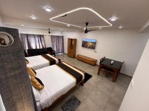 Dream Paradise Munnar