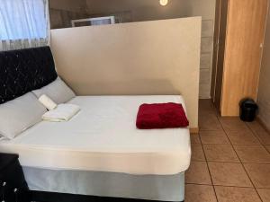 Safari S Guest House