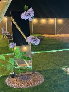 dubai camp