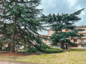 Quiet apartment Place Marine center Maisons Laffitte