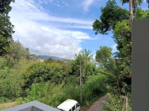 Delightfull Surrounding Ella