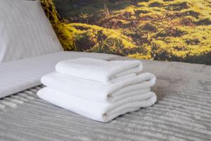 Wawer Urban Jungle Studio by BookingHost