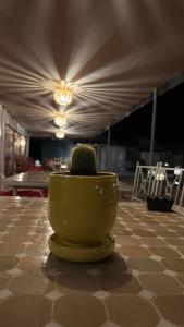 Authentic luxury desert Camp