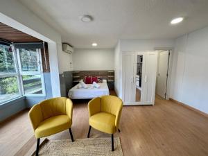 Amazing studio near downtown