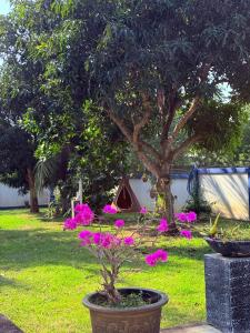 Villa Sama Mandira