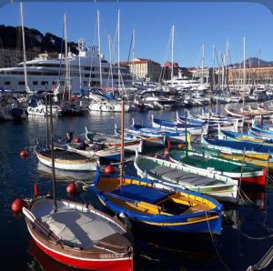Appartement 3 pièces avec parking a Nice Chez David