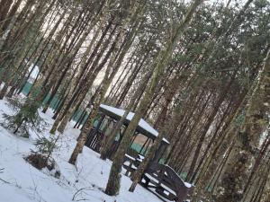 Leśny Zakątek Lipinki Bory Tucholskie - sauna