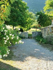 Mas provençal avec piscine privée