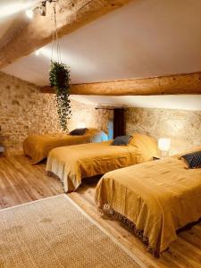 Mas provençal avec piscine privée