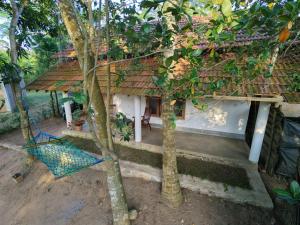 Lagoon Birds - Tangalle