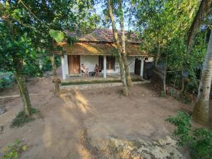 Lagoon Birds - Tangalle