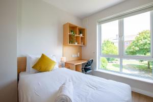 4 Bedrooms - Limerick Campus & High-Speed Wi-Fi