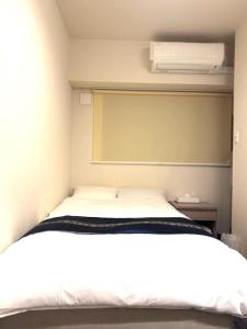 Hotel Plaisir Akihabara