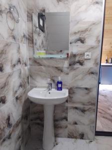 Kedari cottage Borjomi