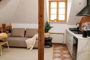 Castle apartment Piwna