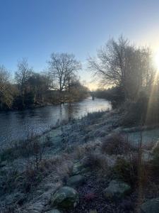 The Eden, Cosy 1 bed lodge with riverside views