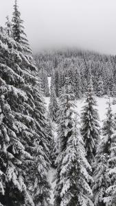 Sun Stream Apartment