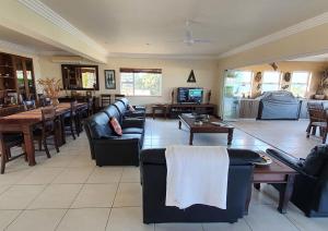 Gecko Moon - a slice of paradise